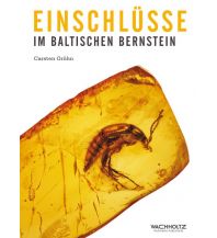 Geology and Mineralogy Einschlüsse im baltischen Bernstein Wachholtz Verlag GmbH