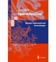 Spurenfossilien Springer