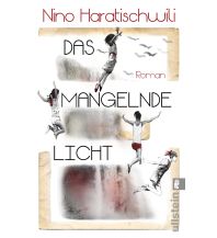 Reiselektüre Das mangelnde Licht Ullstein Verlag