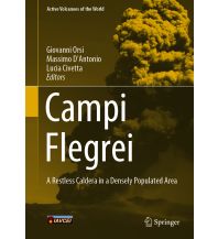 Geology and Mineralogy Campi Flegrei Springer