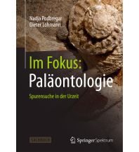 Geologie und Mineralogie Im Fokus: Paläontologie Springer