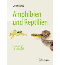 Naturführer Amphibien und Reptilien Springer