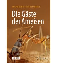 Naturführer Die Gäste der Ameisen Springer