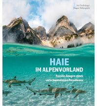 Geologie und Mineralogie Haie im Alpenvorland Anton Pustet Verlag