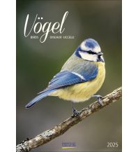 Calendars Vögel 2025 Korsch Verlag