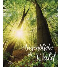 Calendars Augenblicke im Wald 2025 Korsch Verlag