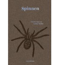 Naturführer Spinnen Matthes & Seitz Verlag