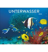 Kalender Unterwasser Posterkalender 2025 Athesia Kalenderverlag