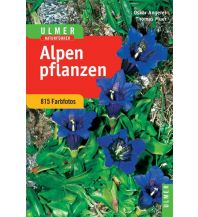 Naturführer Alpenpflanzen Ulmer Verlag