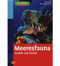 Tauchen / Schnorcheln Meeresfauna Karibik und Florida Ulmer Verlag