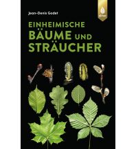 Naturführer Einheimische Bäume und Sträucher Ulmer Verlag