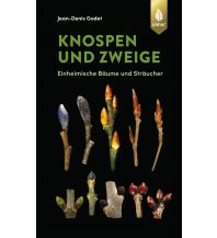 Knospen und Zweige Ulmer Verlag