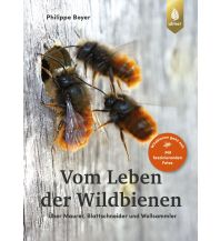 Naturführer Vom Leben der Wildbienen Ulmer Verlag