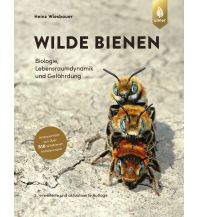 Nature and Wildlife Guides Wilde Bienen Ulmer Verlag