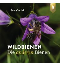 Nature and Wildlife Guides Wildbienen die anderen Bienen Ulmer Verlag