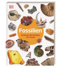 Kinderbücher und Spiele Fossilien Dorling Kindersley