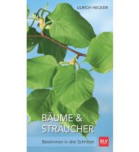 Nature and Wildlife Guides Bäume und Sträucher BLV Verlagsgesellschaft mbH