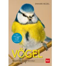 Nature and Wildlife Guides Vögel BLV Verlagsgesellschaft mbH