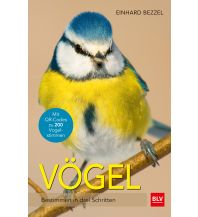 Nature and Wildlife Guides Vögel BLV Verlagsgesellschaft mbH