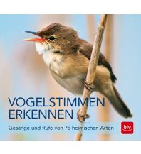 Naturführer Vogelstimmen erkennen / CD BLV Verlagsgesellschaft mbH