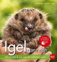 Nature and Wildlife Guides Igel ganz nah BLV Verlagsgesellschaft mbH