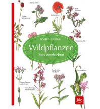 Nature and Wildlife Guides Wildpflanzen neu entdecken BLV Verlagsgesellschaft mbH