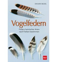 Nature and Wildlife Guides Vogelfedern BLV Verlagsgesellschaft mbH