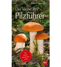 Naturführer Der kleine BLV Pilzführer BLV Verlagsgesellschaft mbH