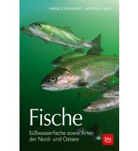 Diving / Snorkeling Fische BLV Verlagsgesellschaft mbH