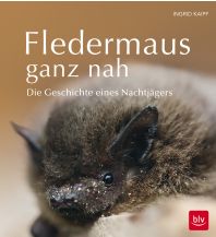 Naturführer Fledermaus ganz nah BLV Verlagsgesellschaft mbH