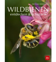 Naturführer Wildbienen entdecken & schützen BLV Verlagsgesellschaft mbH