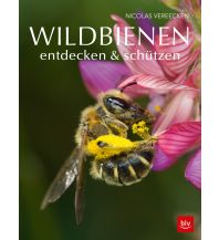 Naturführer Wildbienen entdecken & schützen BLV Verlagsgesellschaft mbH