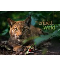 Kalender Tierwelt Wald Kalender 2025 F.A. Ackermann Kunstverlag