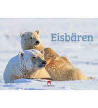 Kalender Eisbären Kalender 2025 F.A. Ackermann Kunstverlag