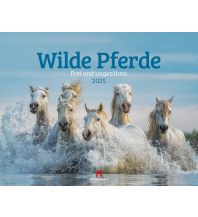 Kalender Wilde Pferde Kalender 2025 F.A. Ackermann Kunstverlag