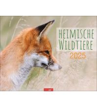 Kalender Heimische Wildtiere Kalender 2025 Athesia Kalenderverlag