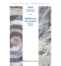 Geologie und Mineralogie Gosau und Rußbach am Pass Gschütt Geologische Bundesanstalt