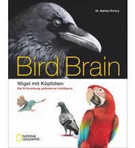 Bird Brain national geographic deutschlan