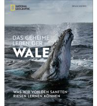 Das geheime Leben der Wale national geographic deutschlan