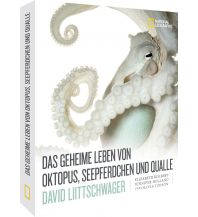 Tauchen / Schnorcheln Das geheime Leben von Oktopus, Seepferdchen und Qualle national geographic deutschlan