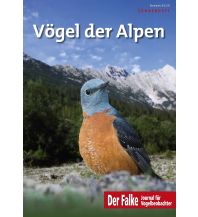 Naturführer Vögel der Alpen Aula Verlag