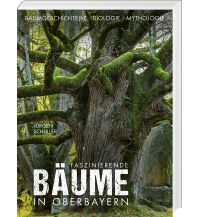 Nature and Wildlife Guides Faszinierende Bäume in Oberbayern Bayerland GmbH