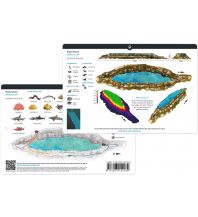 Tauchen / Schnorcheln Ocean Maps Dive Cards - Elphinstone, Marsa Alam Ocean Maps