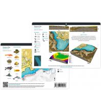 Diving / Snorkeling Ocean Maps Dive Cards - Mangrove May, Marsa Alam Ocean Maps
