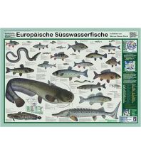 Diving / Snorkeling Europäische Süsswasserfische Planet Poster Editions