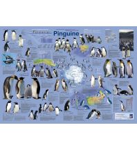 Naturführer Pinguine Planet Poster Editions