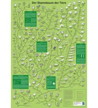Nature and Wildlife Guides Der Stammbaum der Tiere Planet Poster Editions