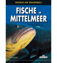 Diving / Snorkeling Fische im Mittelmeer Bonechi Verlag (Italien