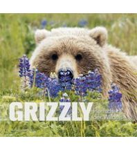 Naturführer Grizzly Tecklenborg Verlag