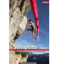 Sport Climbing Austria Kletterführer Steinplatte Panico Alpinverlag